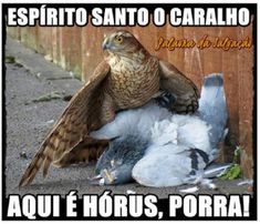Avatar do usuário