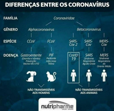 Coronavírus - WhatsApp - Diferença entre os tipos de vírus.jpg