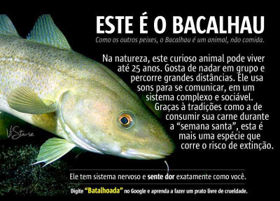 bacalhau.jpg