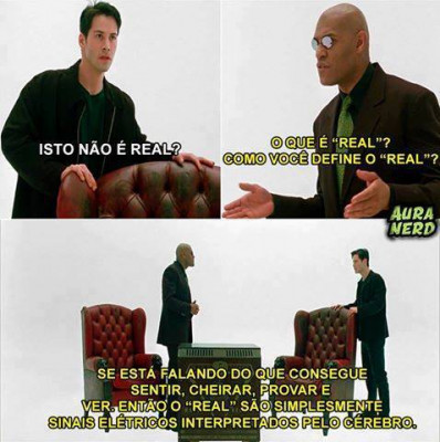 Matrix-realidade_apenas_sinais_eletricos_no_cerebro.jpg